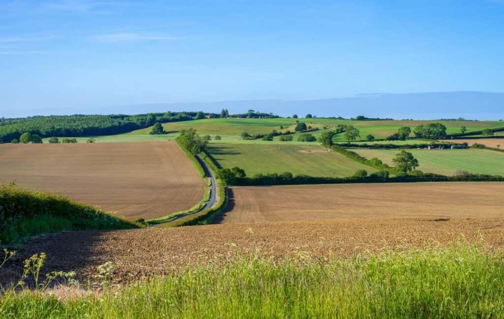 Sand Hutton, Howardian Hills