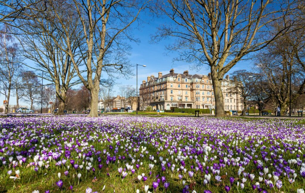 Best Areas to Live in Harrogate