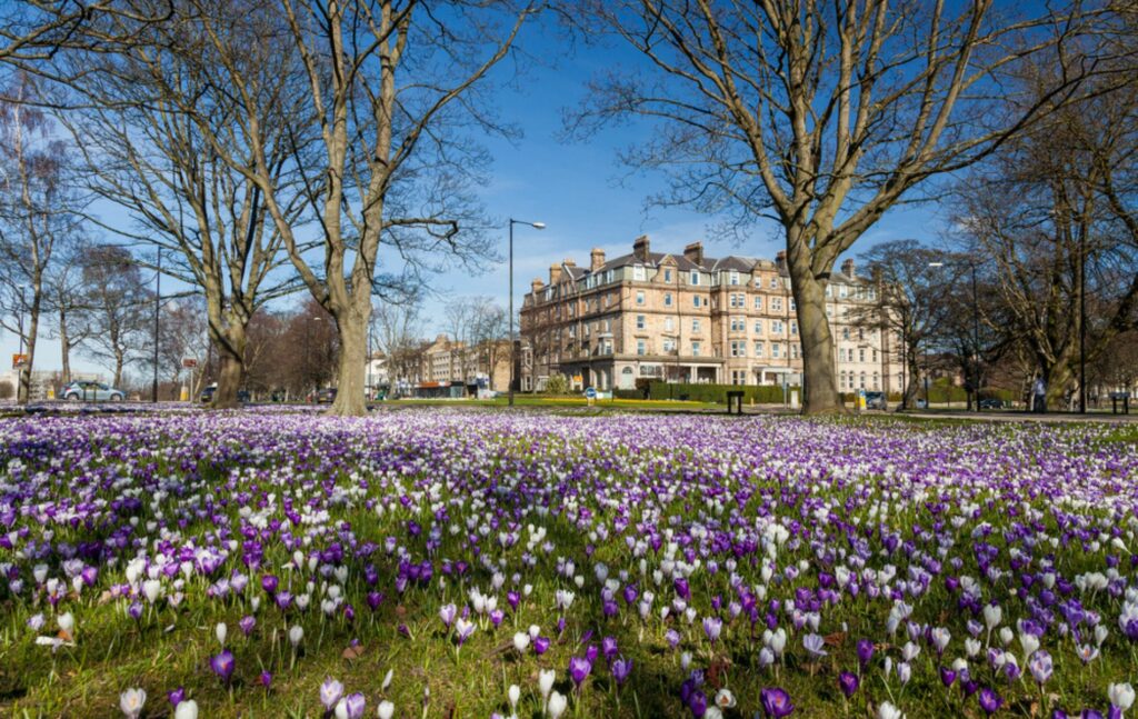 The Spa Town of Harrogate, Yorkshire Grammar Schools